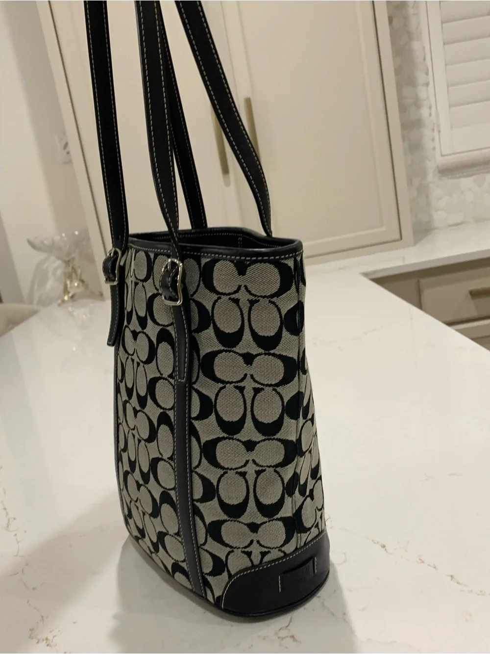 Coach Canvas Tote in Black Hampton Bag